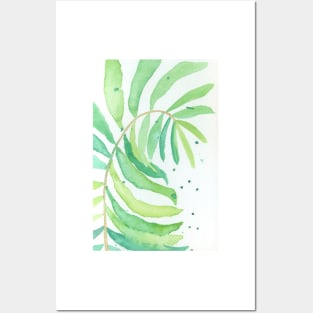 Fern Posters and Art